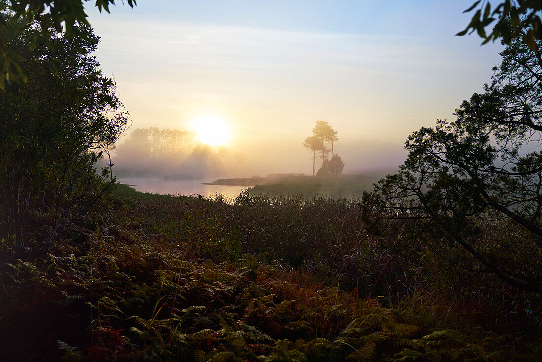 Serene sunset over water and trees in nature