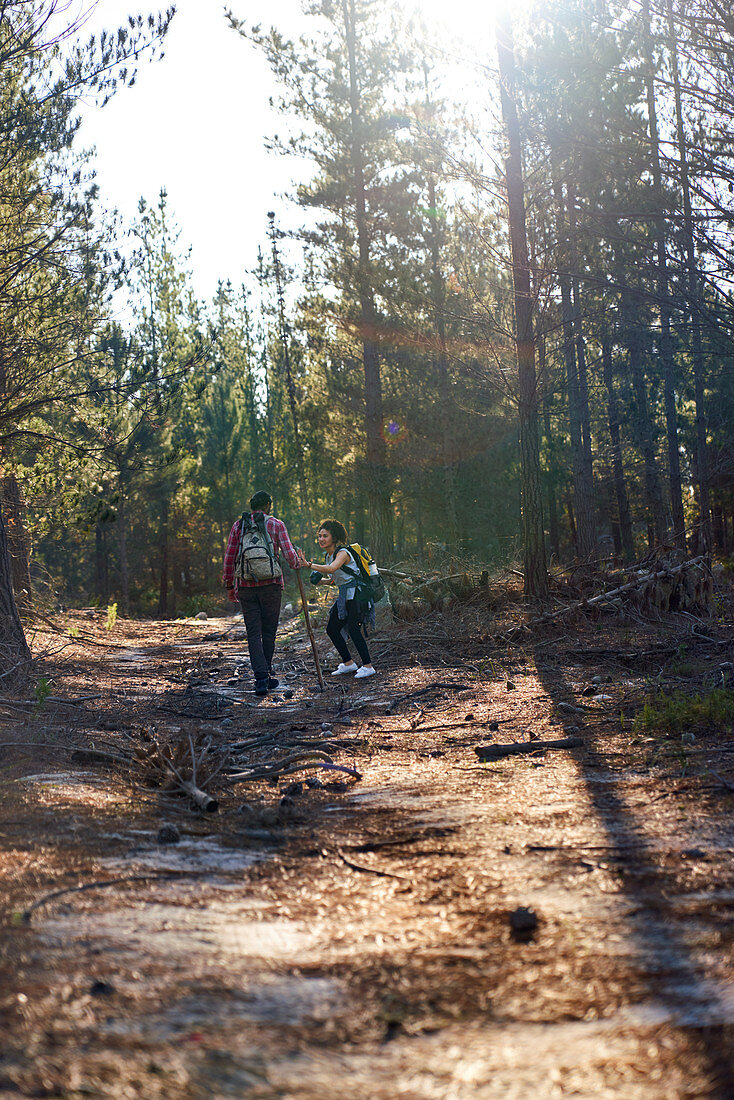 Young couple hiking in sunny woods