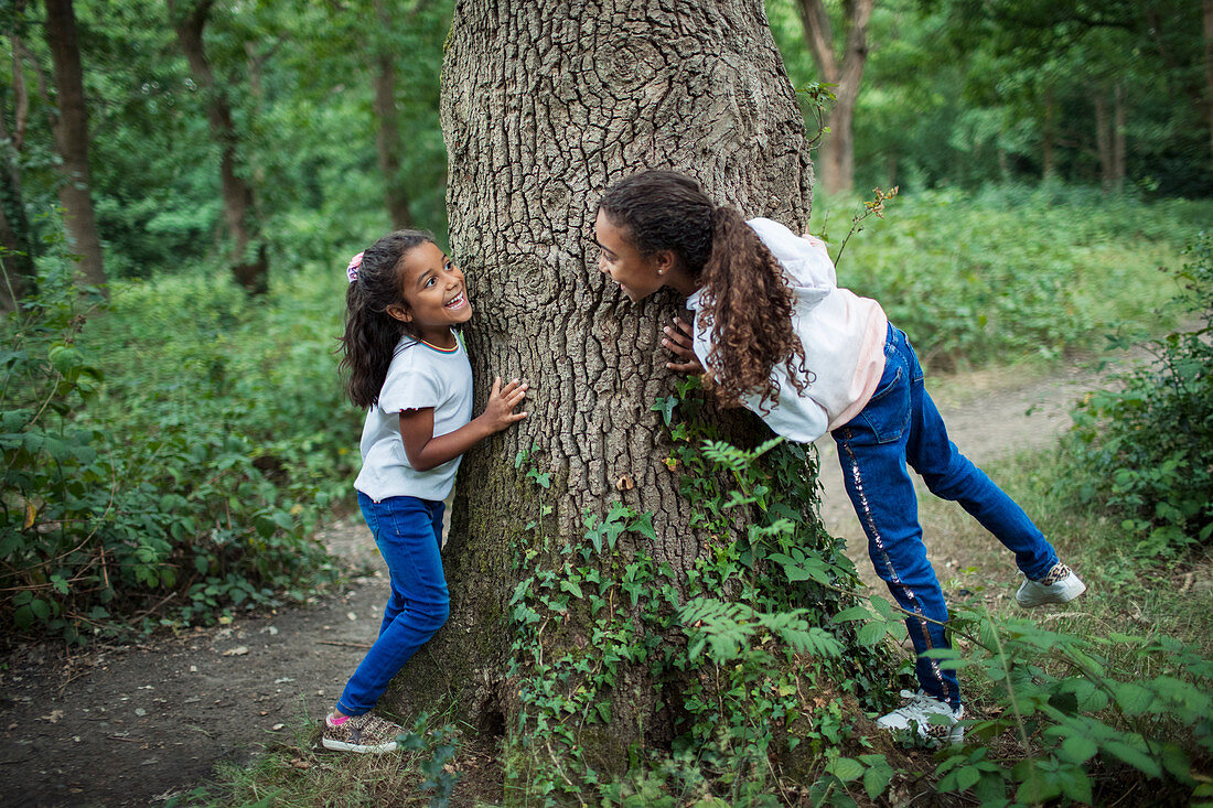 Cute sisters playing at tree trunk in woods