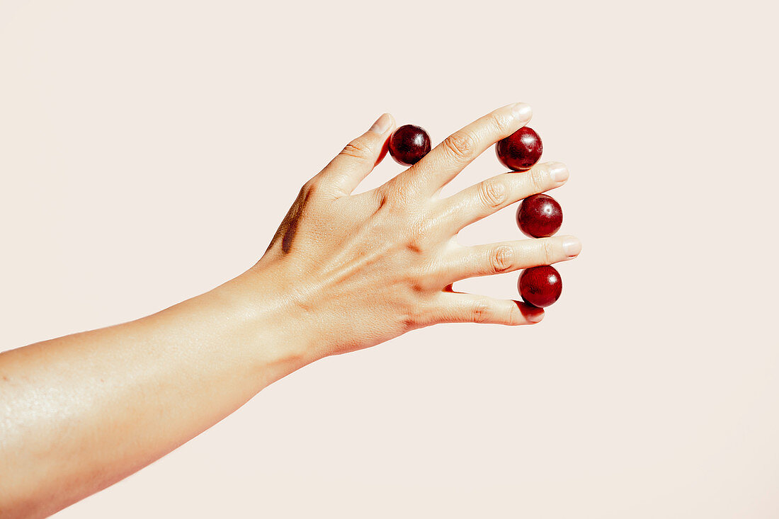 Hand hält einzelne rote Trauben zwischen den Fingern