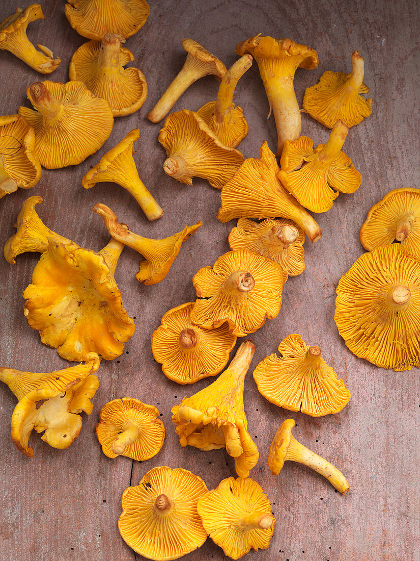 Chanterelles