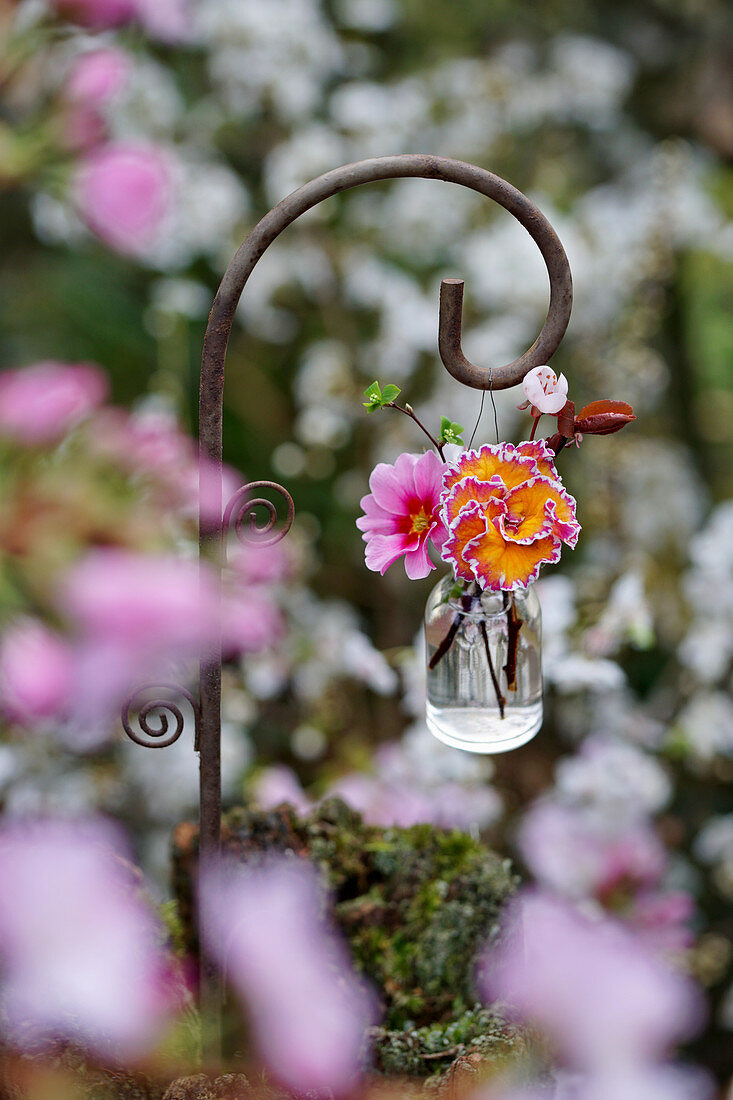 Mini bouquet with flowers of primrose and Cherry plum blossoms