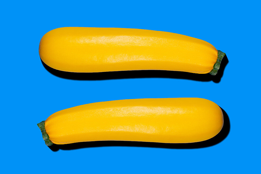 Zwei gelbe Zucchini auf blauem Untergrund