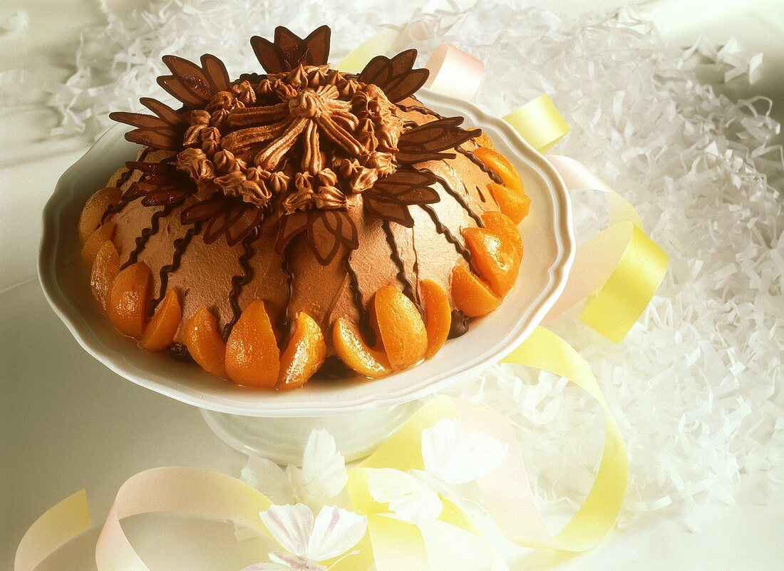 Chocolate and apricot gateau with chocolate leaves