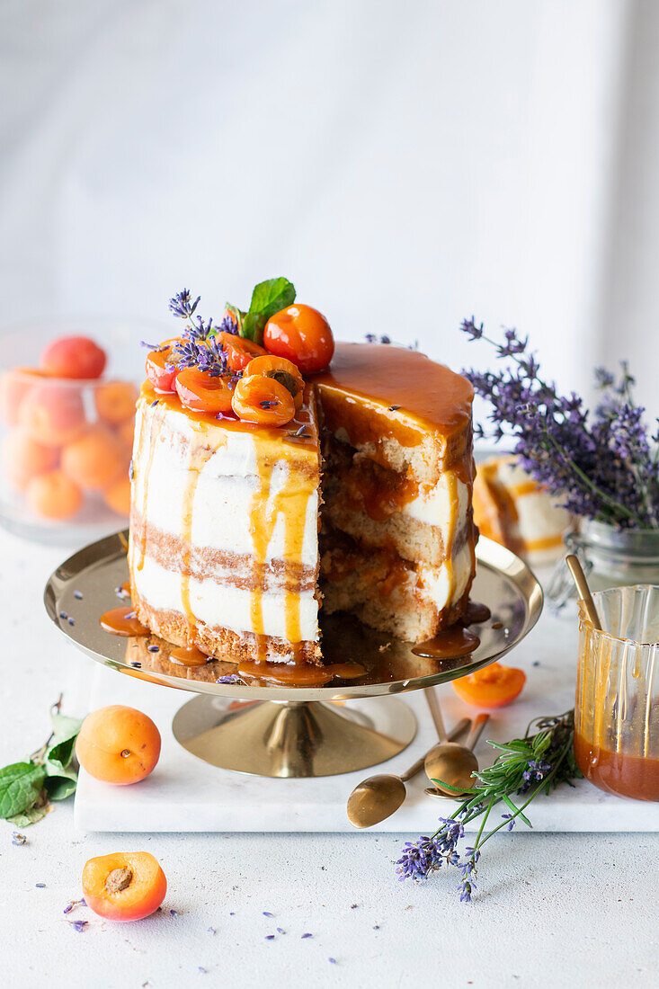 Aprikosen-Lavendel-Torte