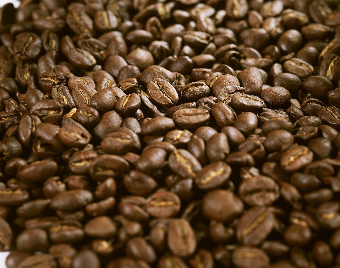 Coffee Beans