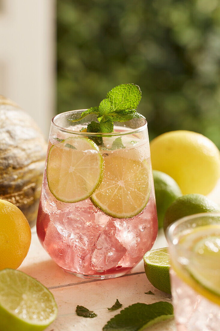 Wassermelonen-Gin Tonic mit Limettenscheiben
