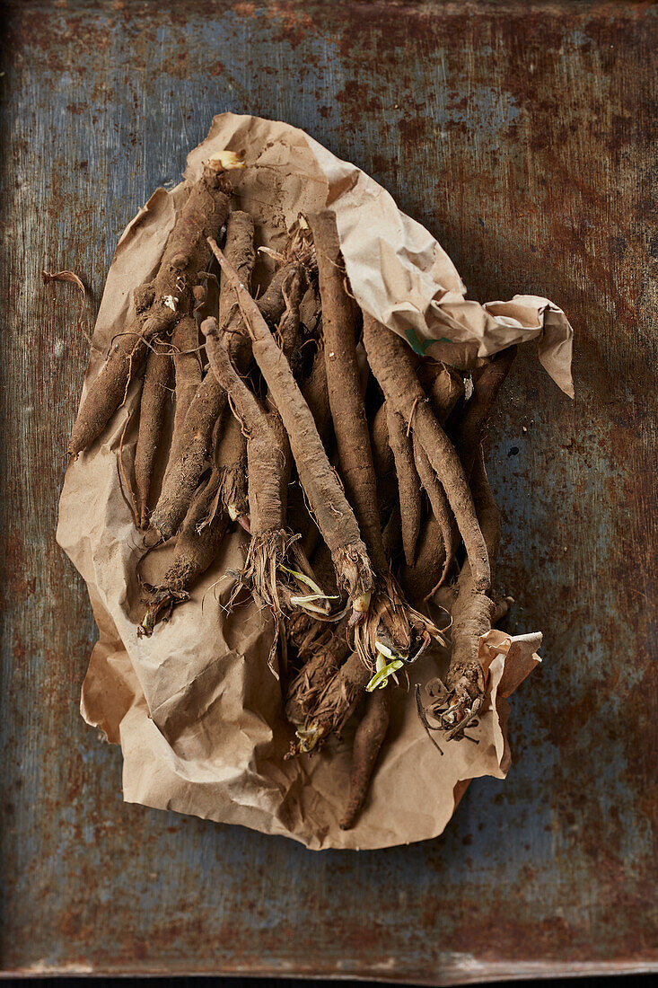 Untrimmed black salsify on paper