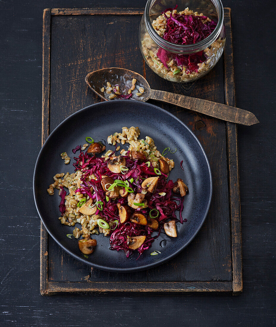 Vegan green seed salad with red cabbage and cashew-dill dressing