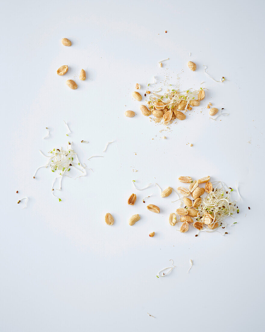 Peanut kernels and alfalfa sprouts