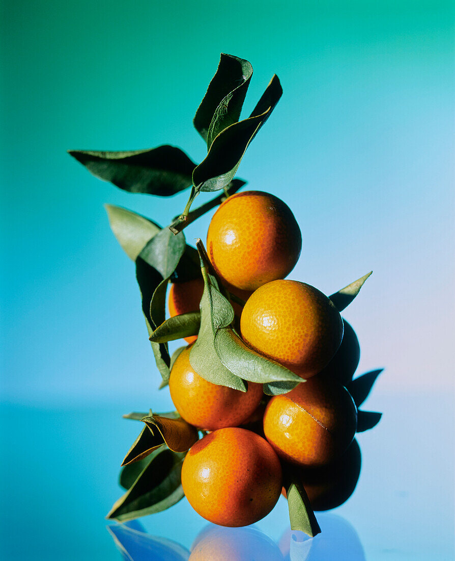 Hongkong-Kumquats