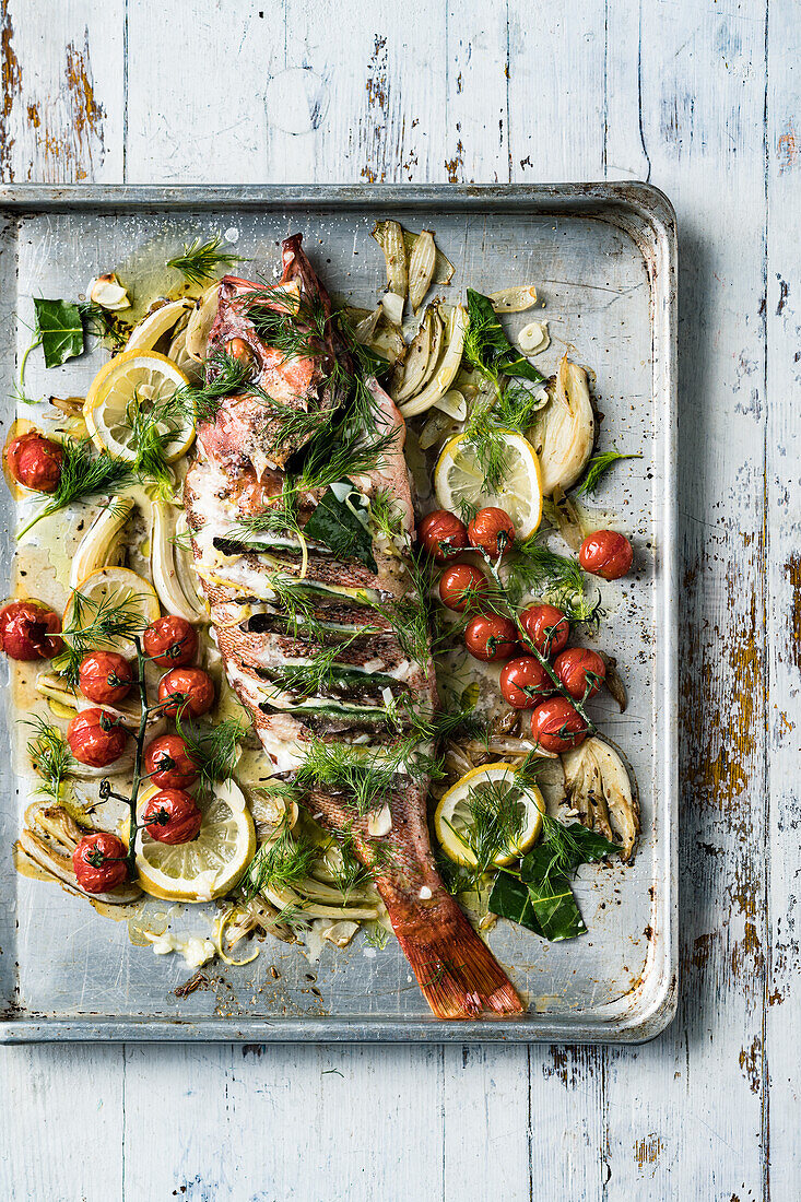 Lorbeergespickter Rotbarsch mit Fenchel und Tomaten