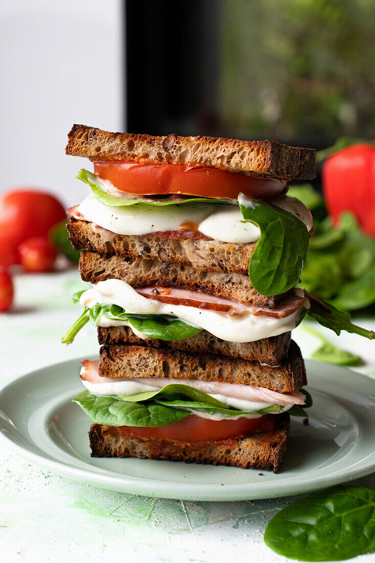 Oven baked sandwich with mozzarella, ham and tomato