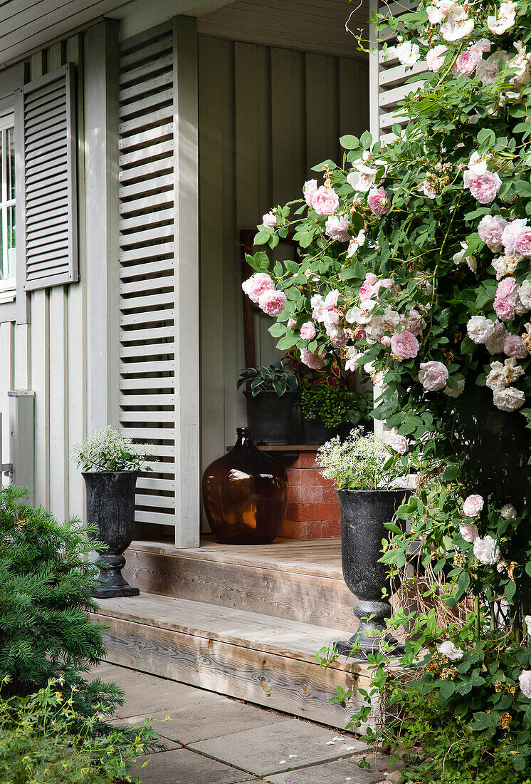 Veranda with wooden panels and roses at the house entrance