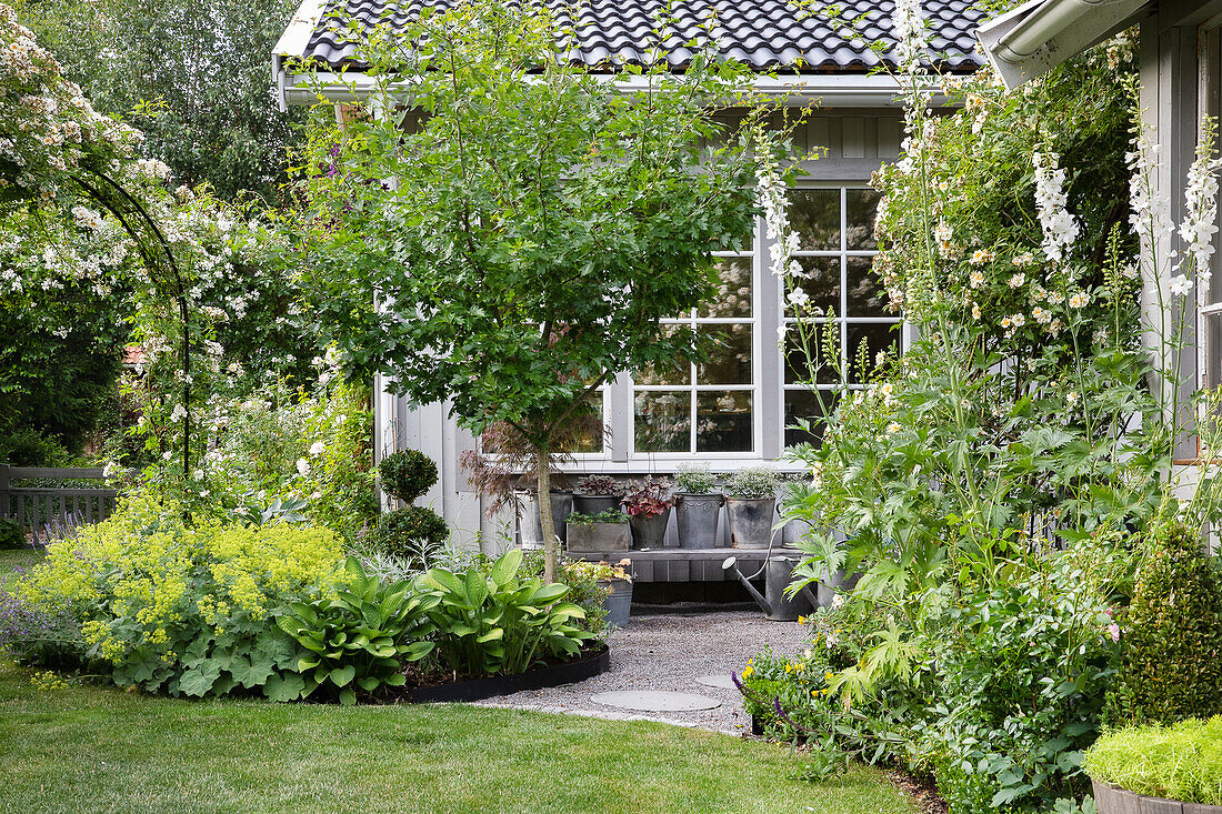 View of guest house with gravel terrace, framed by herbaceous borders and hawthorn