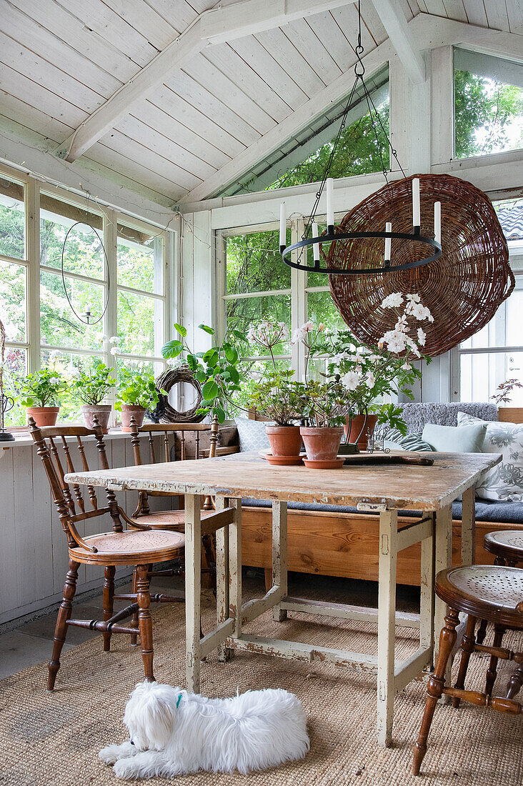 Rustikaler Tisch mit Stühlen in der Orangerie, erbaut aus recycelten Fensterrahmen