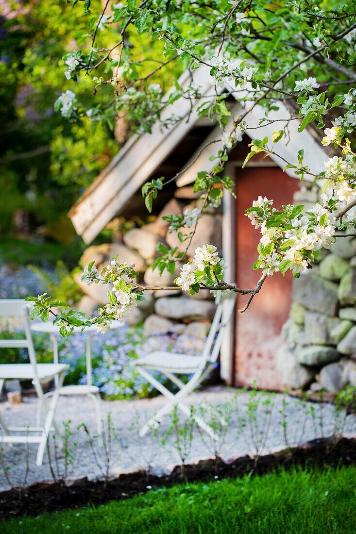 View of the seating area in front of the shed in the garden