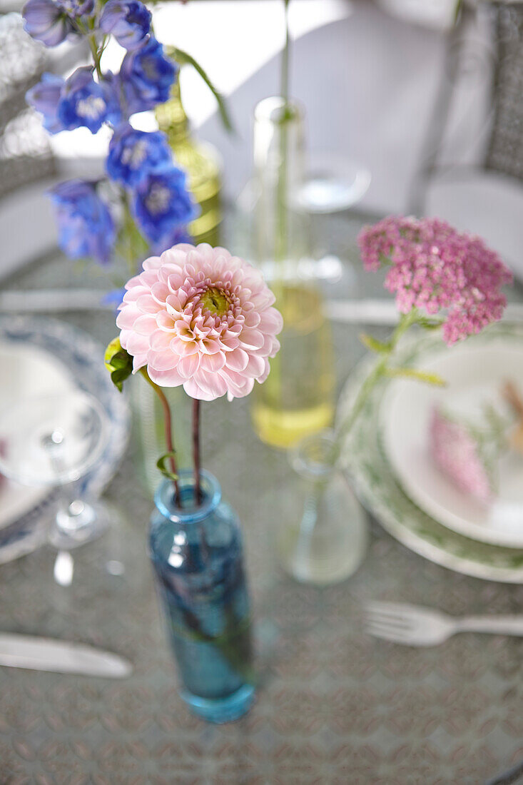 Flowers in vases