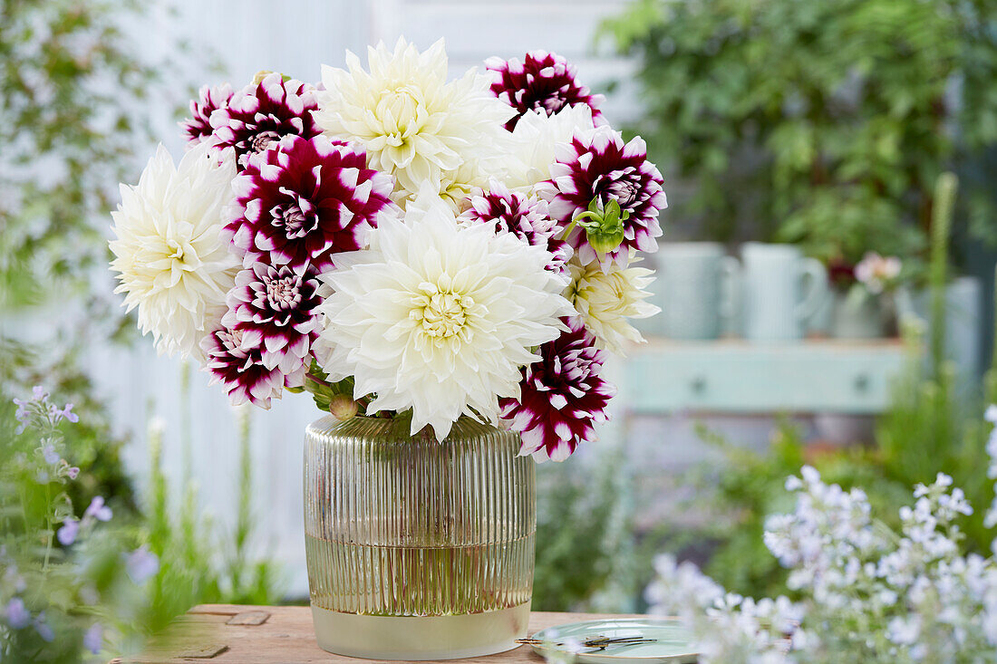 Dahlia bouquet; White Perfection, Mystery Day