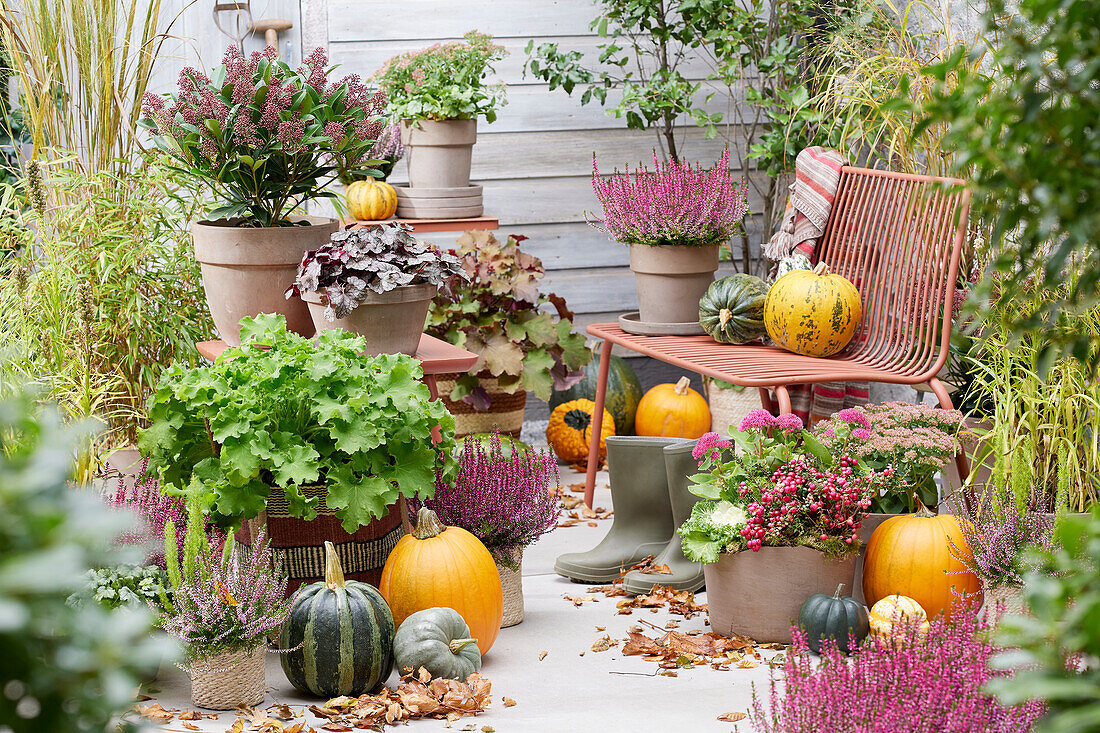 Autumn patio