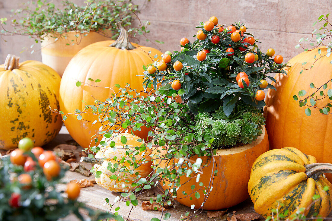 Autumn arrangement