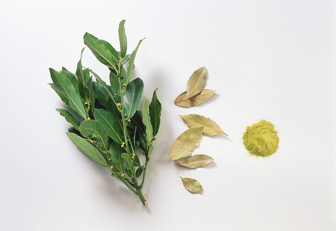 Bay; fresh, dried & ground bay leaves