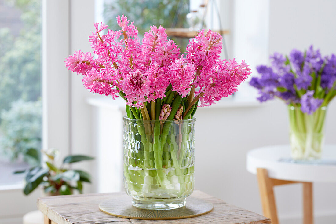 Hyacinthus Johanna bouquet