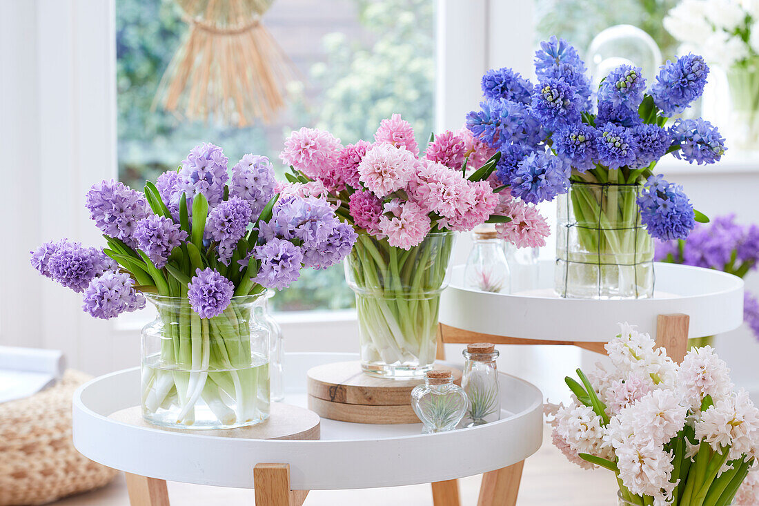 Hyacinthus bouquet combination