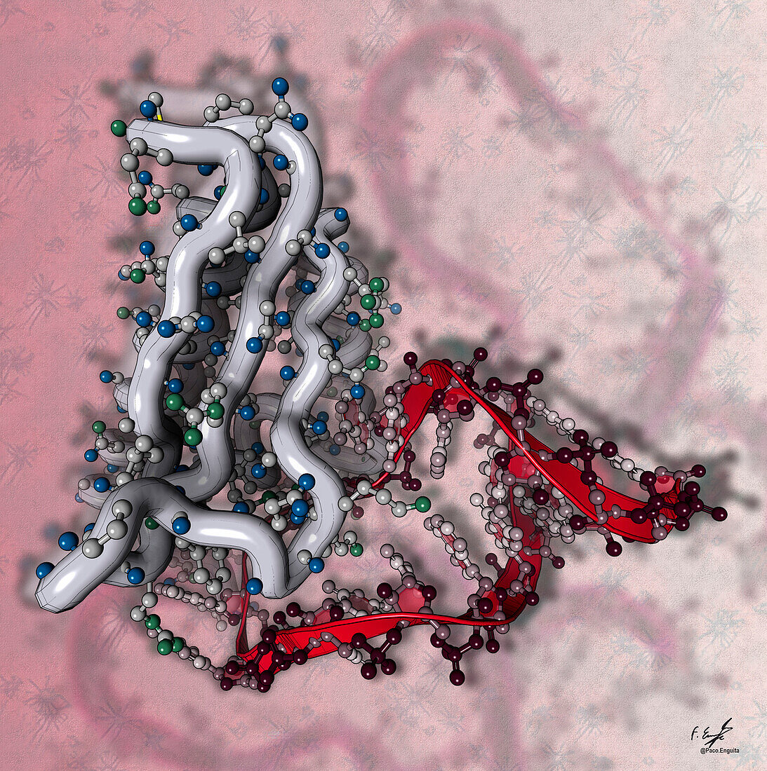 NOVA2 RNA-binding domain, illustration