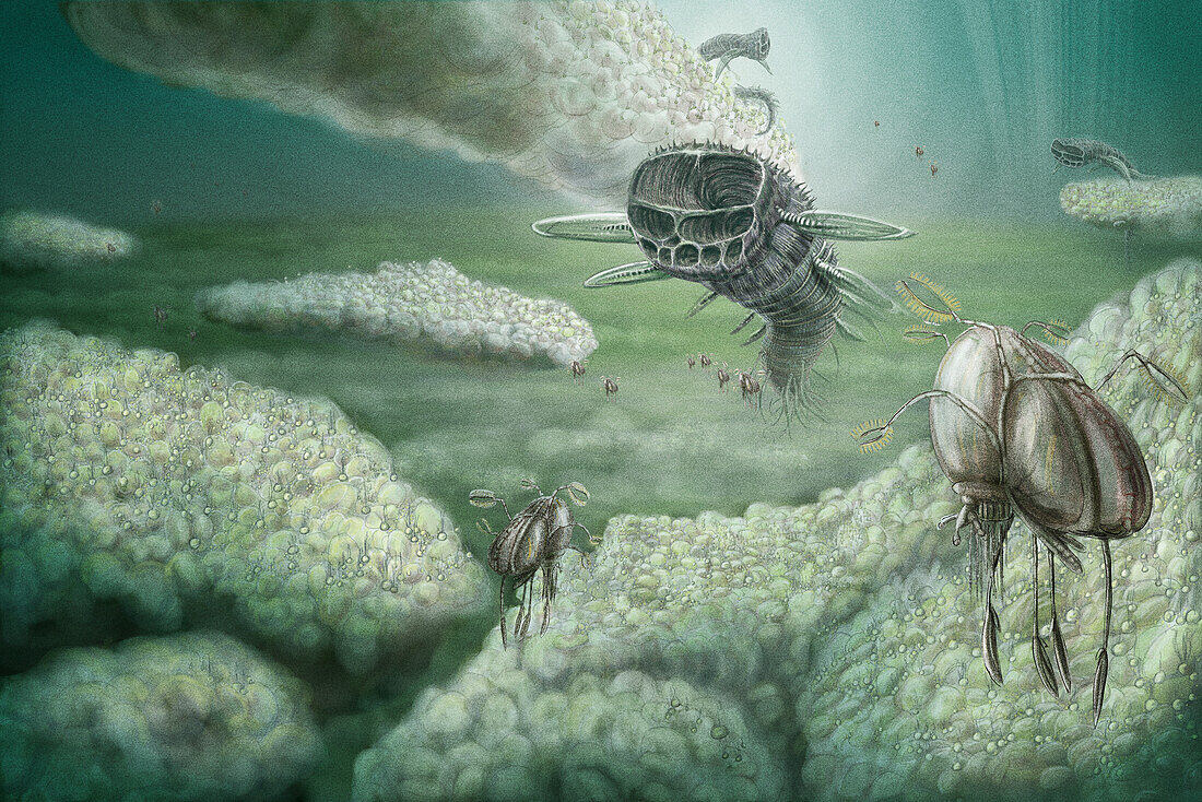 Alien lifeforms, conceptual illustration