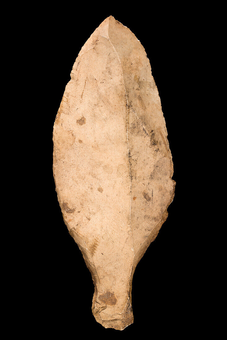 Neolithic spear tool