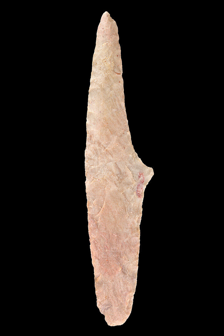 Neolithic curved blade