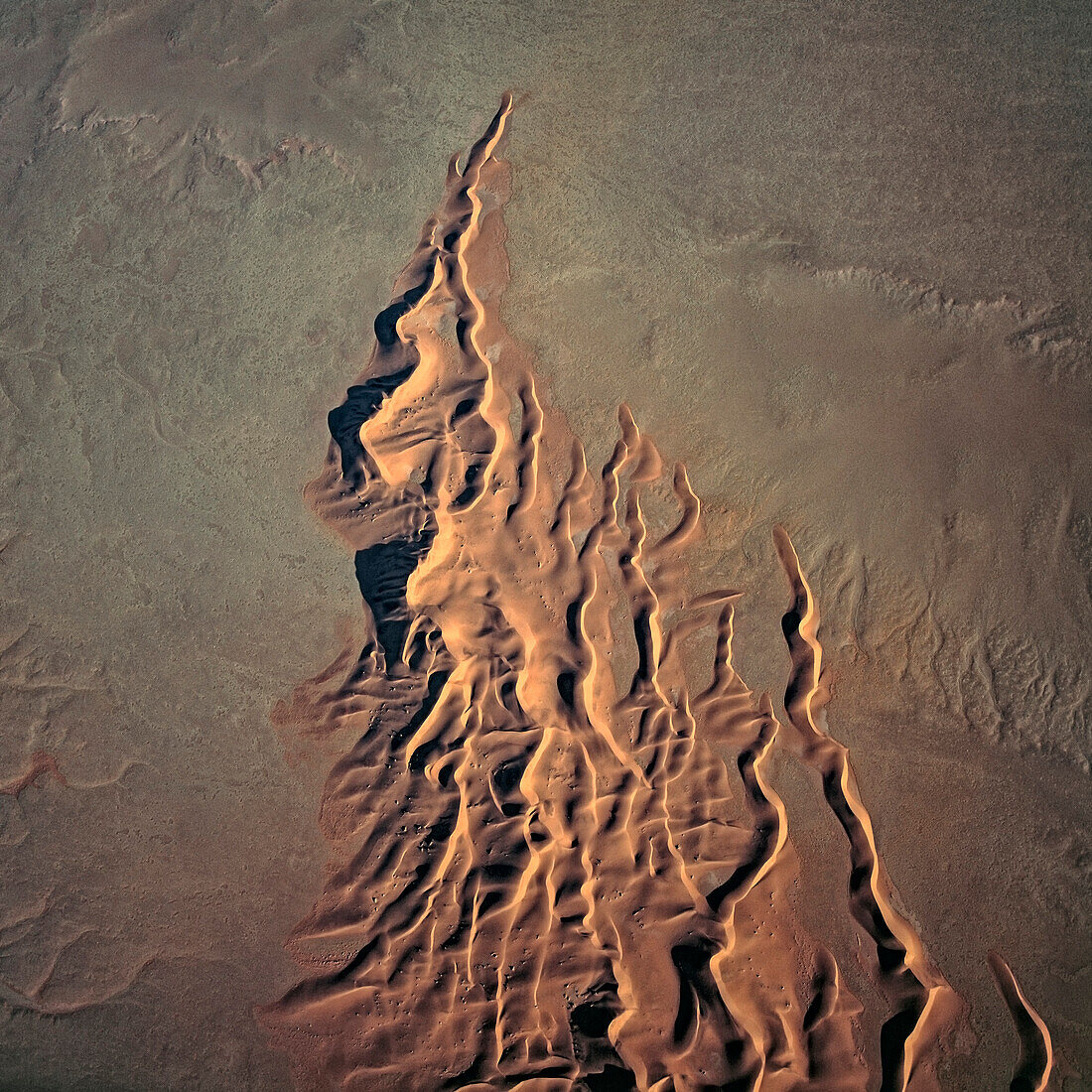 Sand dunes, Namib desert, Namibia