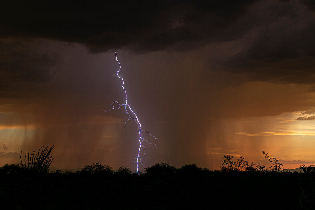 Sunset lightning, Arizona, USA
