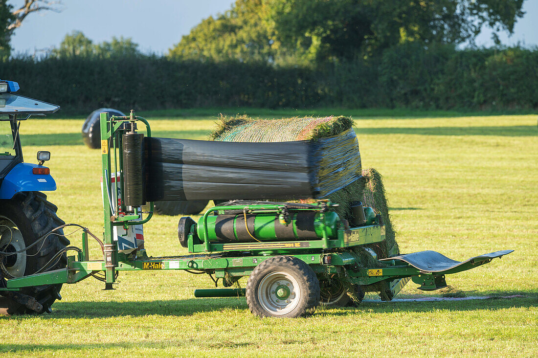 Bailling and wrapping silage
