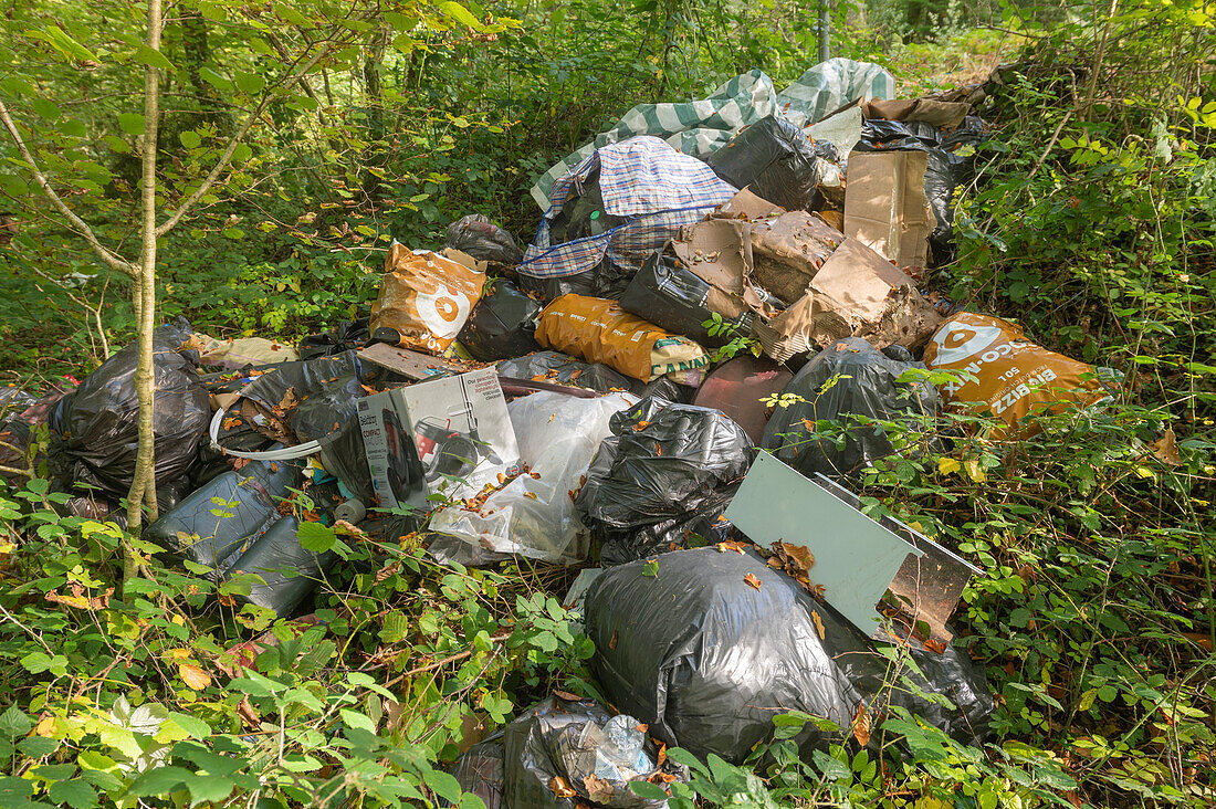 Fly tipped household rubbish in woodland