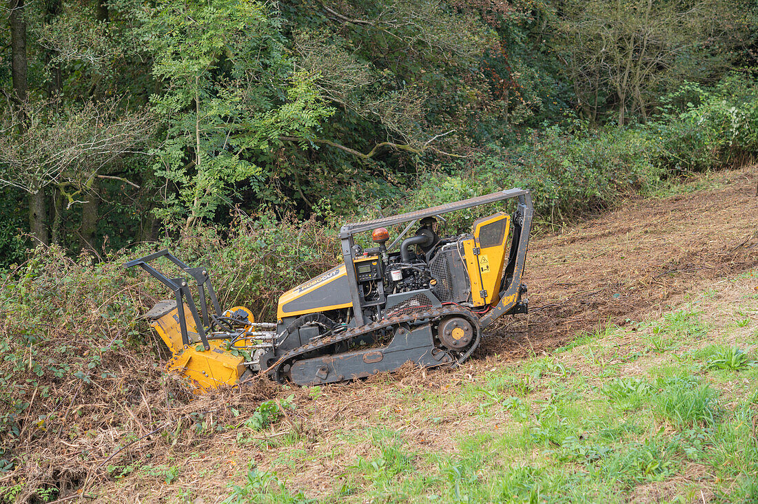 Robocut remotely controlled tracked mower cutting bramble
