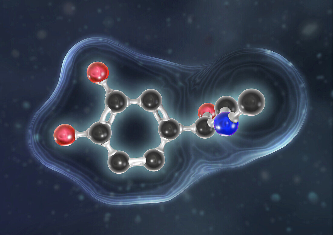 Adrenaline molecule, illustration