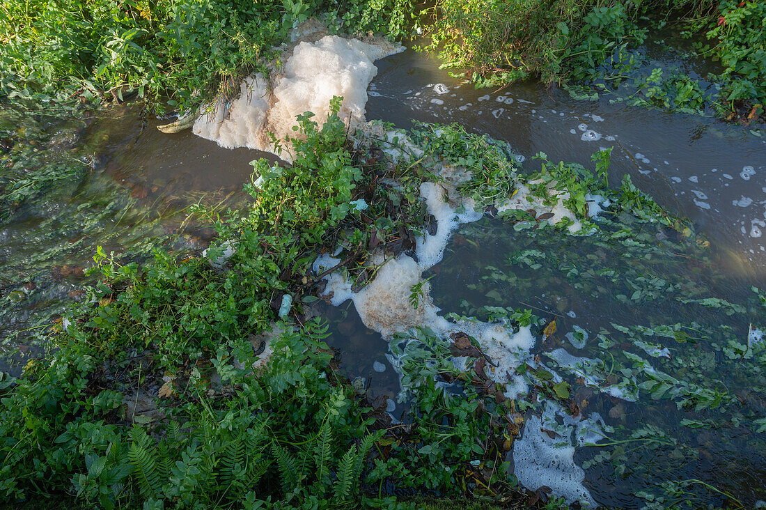 White foam and brown discoloured stream water
