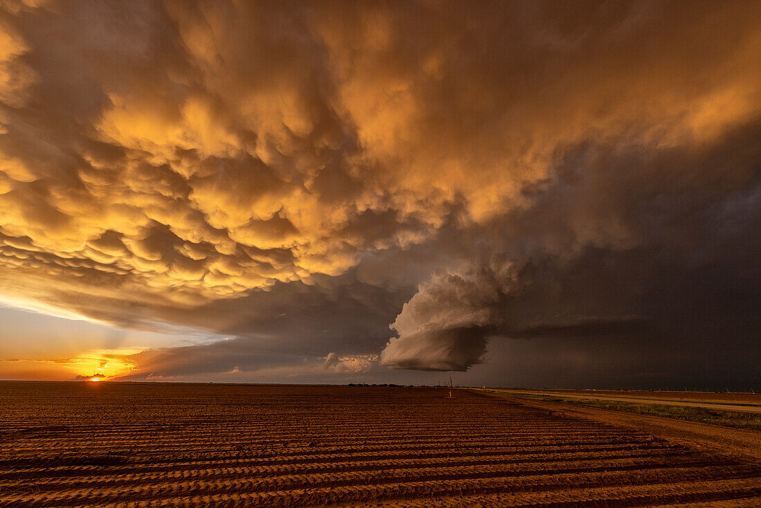 Supercell thunderstorm, Texas, USA