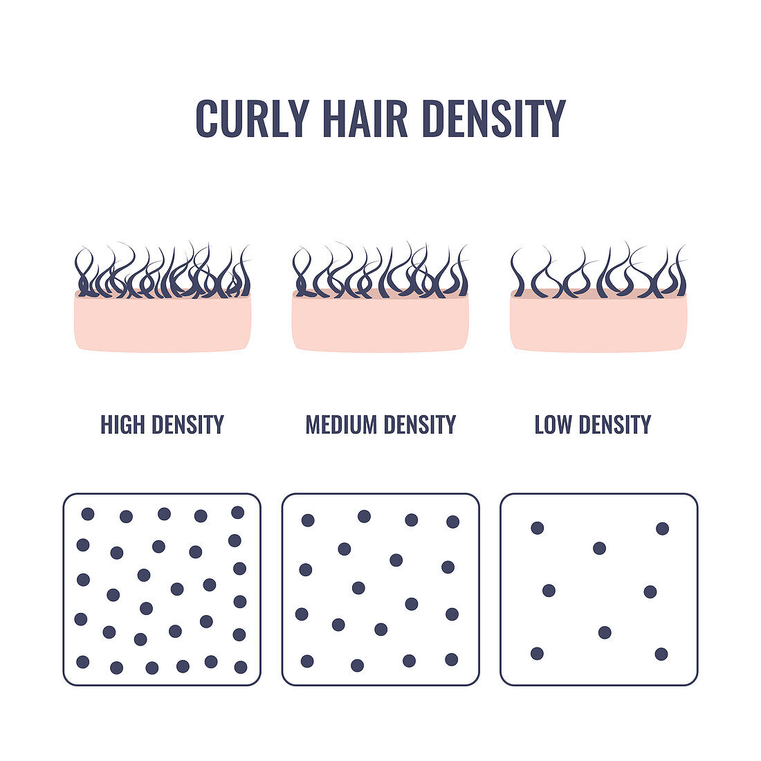 Curly hair density,