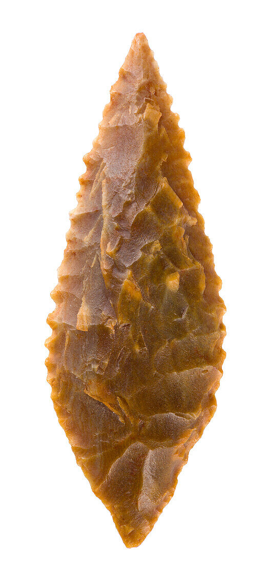 Neolithic stone tool