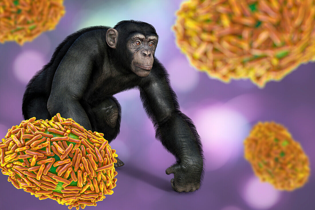 Virus particles around chimpanzee, illustration