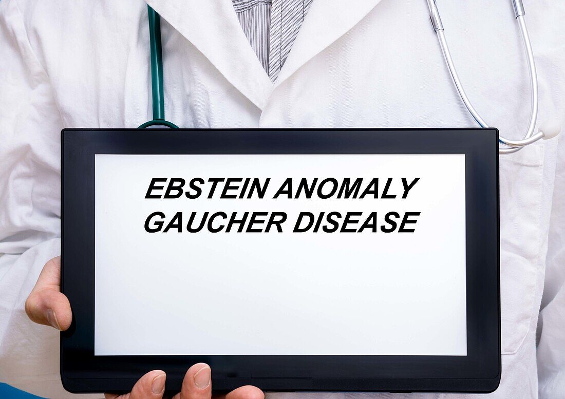 Gaucher disease, conceptual image