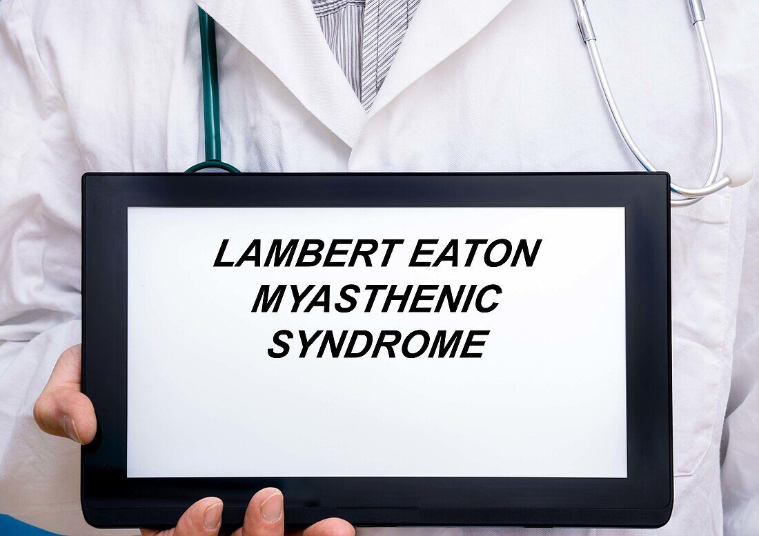 Lambert-Eaton myasthenic syndrome, conceptual image