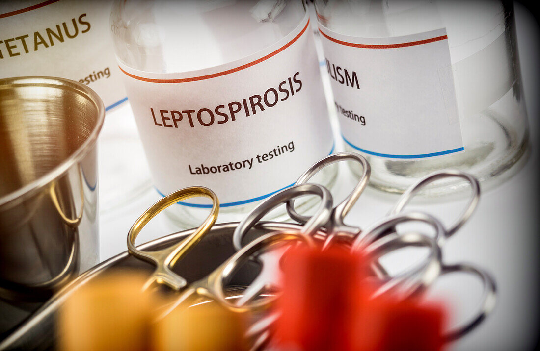 Test for leptospirosis in laboratory, conceptual image