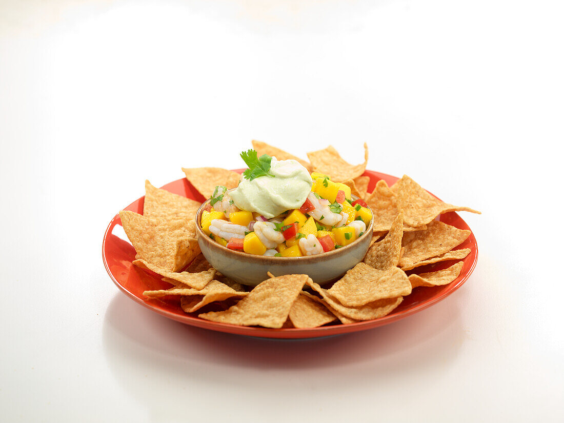 Shrimp-Ceviche mit Nachos