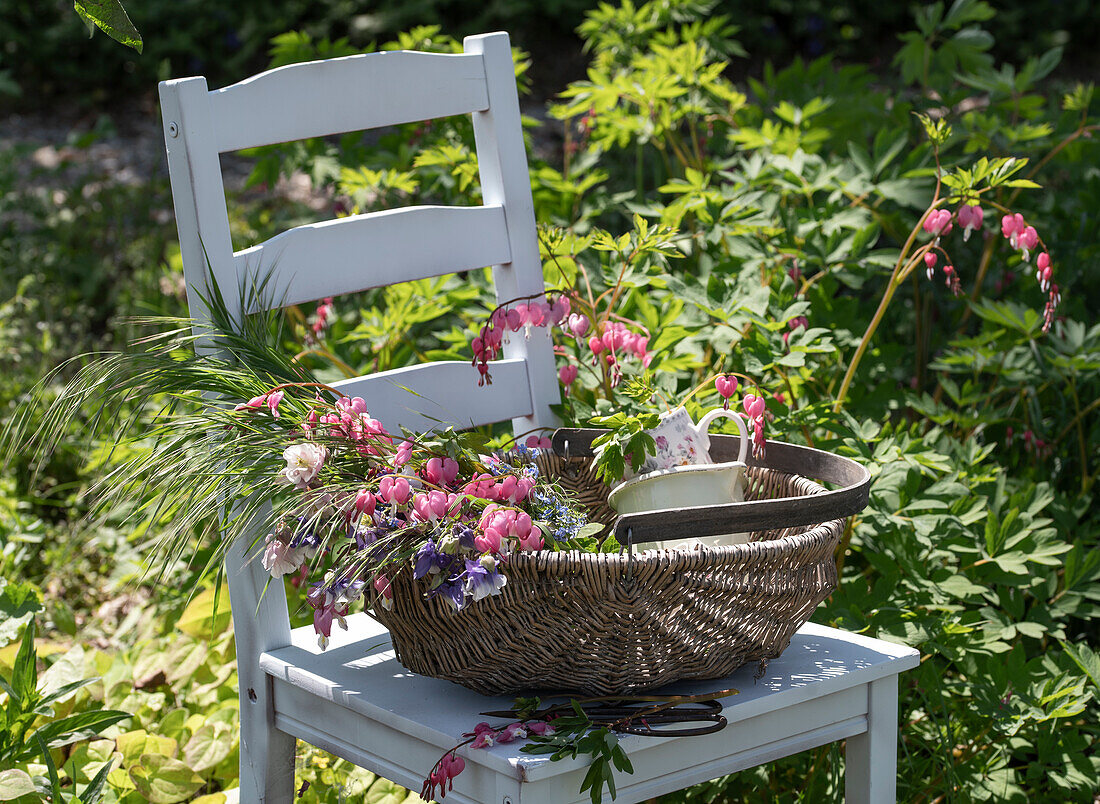 Tränendes Herz (Dicentra Spectabilis) und Akelei (Aquilegia), Blüten im Weidenkorb