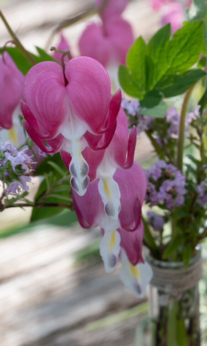 Bleeding Heart Table Decoration;