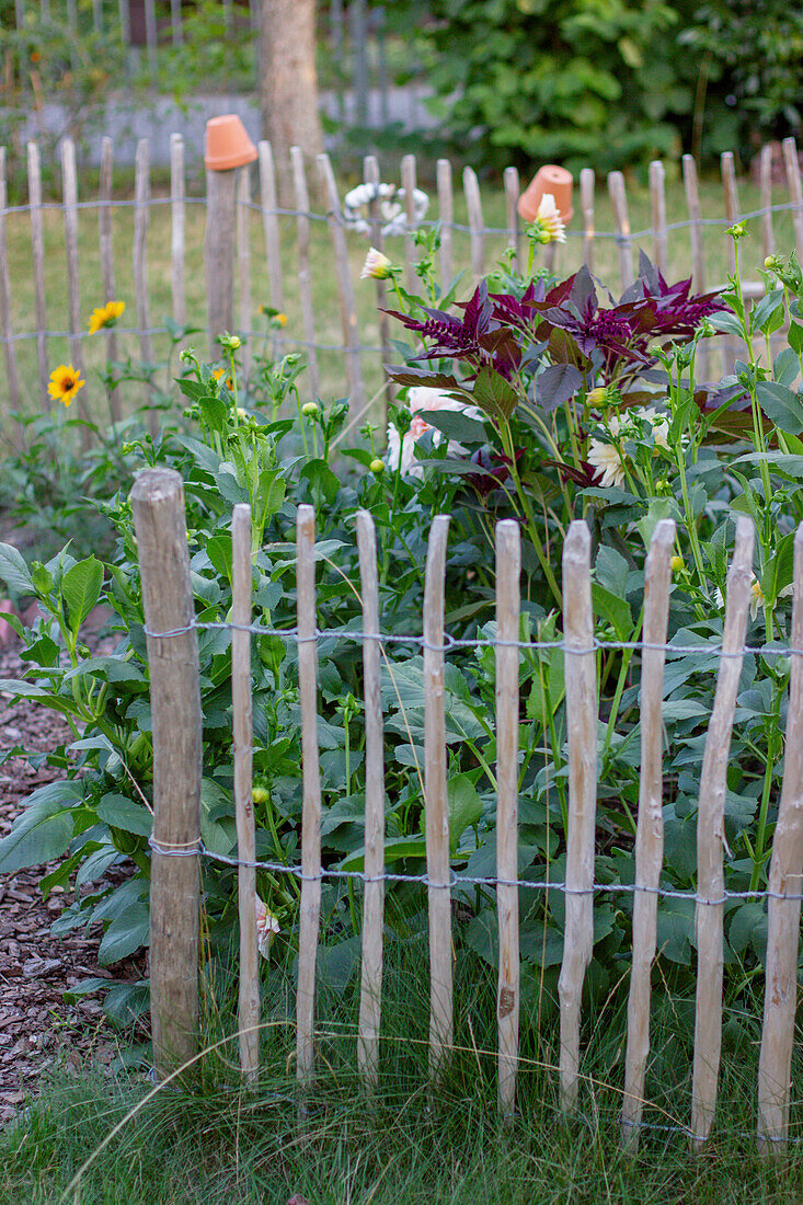 Blumenbeet im Garten mit Staketenzaun